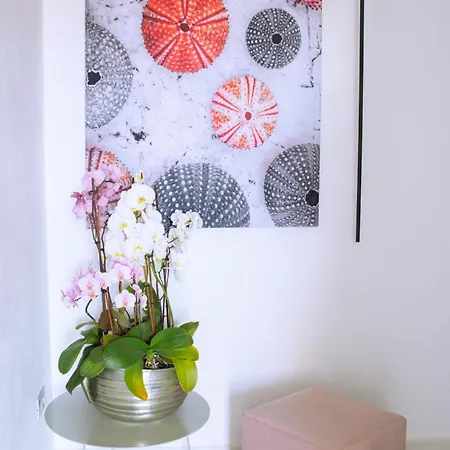 Domo Andi بيت ضيافة 4*